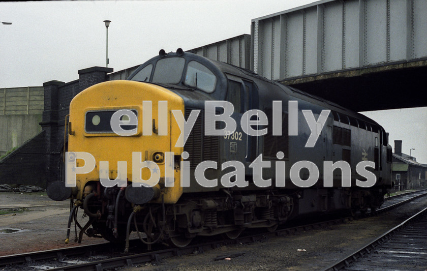 LPAP-DSL-CO-0100 
 Stabled on Peterborough depot, is Landores' 37302, 22nd December 1984. 
 Keywords: BR, Eastern, LNER, Cambridgeshire, Peterborough, Diesel, BR, Shed, Colour, Class37, 37302, D6602, LE, 1984