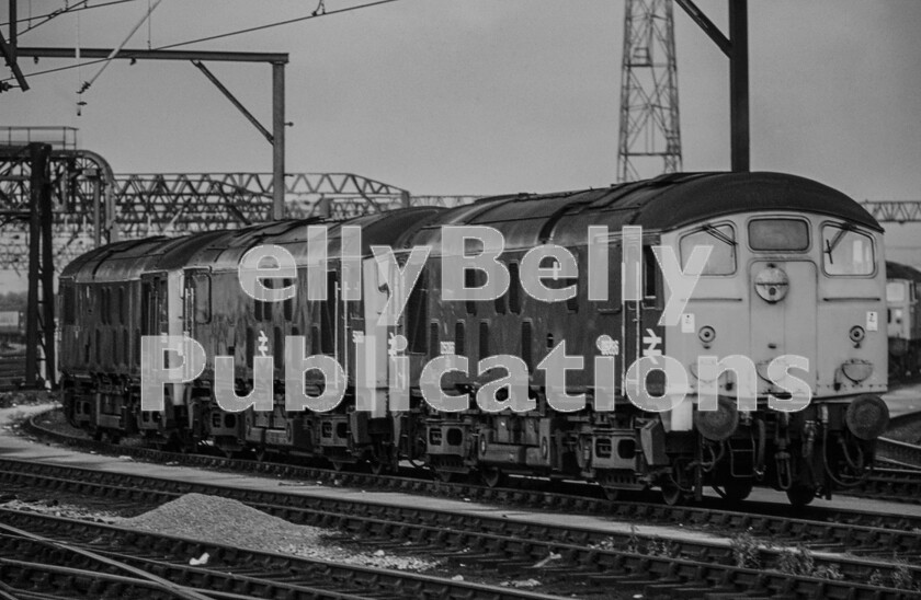 LPPC DSL CO 0106-Edit-Edit 
 This more detailed look at the scene shows that the front left row consists of no less than three Sulzer Type 2 Class 24s (5086 and 5080 are the leading two locomotives). The leading loco carries an interesting variation on numbering, despite having been endowed with its latest blue livery. Its numbers are not only applied to the body side of the loco but they also have D prefixes, so presumably nobody had told the paint-shop at that point that, by this time, it was out-of-date to add them. 
 Keywords: Digital, Rights Managed, Stock