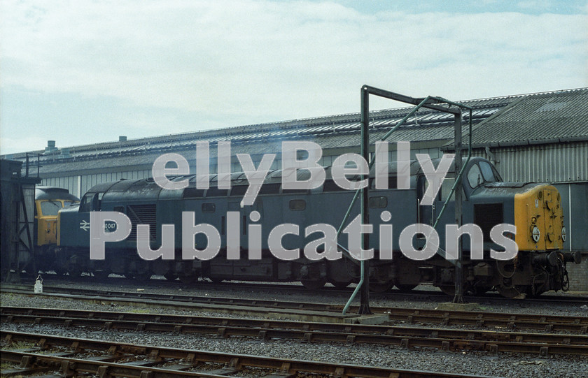 LPAP-DSL-CO-0073 
 Seen running on March depot is 40047, 22nd July 1984. 
 Keywords: BR, Eastern, LNER, Cambridgeshire, March, Diesel, BR, Shed, Colour, Class40, 40047, D247, GD, 1984