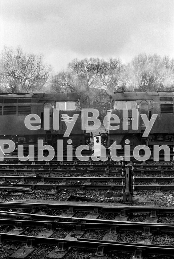 LPPC DSL BW 0704 
 A dank day at Exeter St. Davids stabling point sees two locomotives possibly discussing their ever-shortening future existence. The opposite ends of two Western Class 52s pose with D1041 Western Prince on the right displaying its very Great Western Region cast number plate and making it clear just how handsome the Westerns were. The locomotive on the left is D1012 Western Firebrand. Early 1960s industrial design at its best perhaps, especially when you note the detail, such as the way the steps, doors, doorhandles and vertical grab-handles were integrated into the body sides. No wonder so many have been preserved. Of these two, D1041 now resides at the East Lancs Railway. 
 Keywords: BR, Western, Class 52, D1041, 'Western Prince', Exeter St Davids, Shed