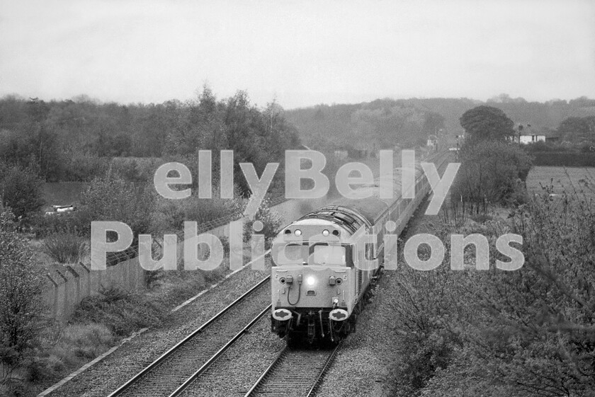 LPPC DSL BW 1294 
 By the 1980s, the Hereford line was graced with the presence of cascaded Class 50 Co-Cos made redundant on the LMR by electrification. In Spring/Summer 1983 an immaculate 50 031 Hood heads a rake of Mark 2Ds, with a Mark 2B BFK at the front, past the site of Newland Engineers Sidings as it approaches the Malvern Hills in the down direction. In steam days this was a bit of a racing ground for Worcester engines on Hereford ex-London portions. I have recorded well over 80mph at this point behind a Hall and the engineers sidings were always busy. So much so, that one of the elusive WR PWM 65X series 165hp 0-6-0 shunters was permanently allocated there for many years. The Class 50 had been twinned with the HMS Hood Association on 22nd April 1983 at Old Oak Common, where crests were applied above the nameplate. The locomotive survives today and is based at the Severn Valley Railway. 
 Keywords: BR, Western, Class 50, 50031, 'Hood', Malvern, Passenger