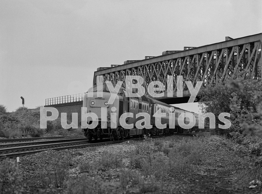 LPIS DSL BW NEGS 0011 
 EE Deltic 55004 'Queens Own Highlander' passes Black Carr Junction near Doncaster, with 1L43 14.05 King's Cross to York service on 30th May 1981. The loco returned south with 1A19 19.05 York to King's Cross later the same day. 
 Keywords: 1L43, 30/5/1980, 9004, 55004, Black and White, BR, Class 50, D9004, Diesel, Doncaster, Eastern Region, LNER, Passenger