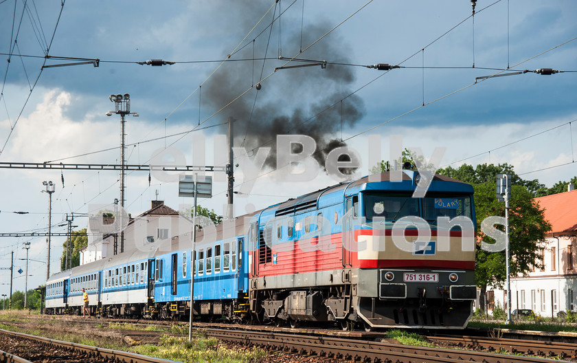 LPAP-EUR-CO-0029 
 Evening sun captures 751316 at Cicenice, being given some 'engine only' thrash, 10th July 2012. 
 Keywords: Czech, Czechoslovakia, Passenger, Colour, 2012