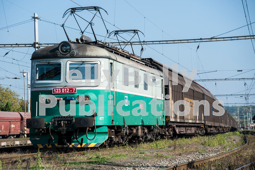 LPAP-EUR-CO-0035 
 Cargo freights' class 123 electric, 123012 at Hranice with a long train of vans, 17th October 2012. 
 Keywords: Czech, Czechoslovakia, Passenger, Colour, 2012