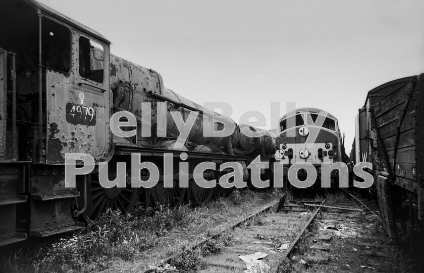 LPPC DSL BW 0308 
 North British-built Type 2 Class 21, number D6122, of a type that was keen on many varieties of self-destruction from engine blow-ups to major fires, was one of two diesels to be dumped at Woodhams Barry yard. Meanwhile 4979 Helperly Hall probably cant resist a smirk at having had a far longer and more productive life than its adjacent opposition. It turns out that D6122 is at the centre of a controversy concerning identity as there seems to be some evidence to suggest that at one time it swapped identities with D6121. Apparently that number appeared on one of its cabsides after being weathered for years at Barry. Also, as D6122 it was used in a re-railing exercise at Hither Green shed in November 1967 en route from Scotland to Barry! 
 Keywords: BR, Western, Wales, Woodham's Barry Yard, Barry, 4979, 'Helperley Hall', D6122, Class 21, Scrap, Withdrawn