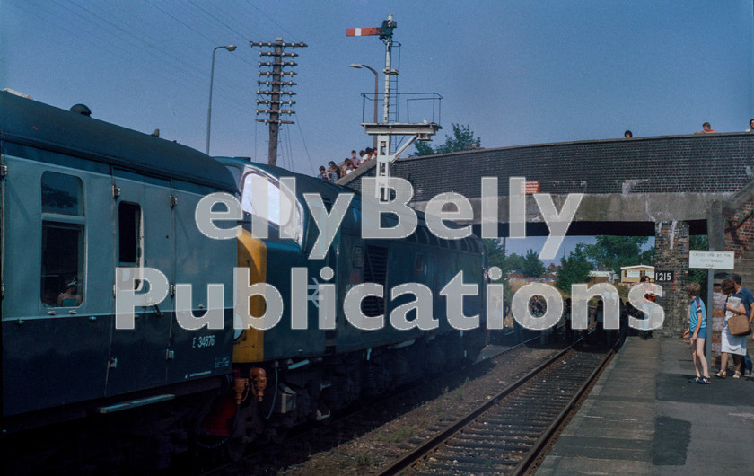 LPAP-DSL-CO-0019 
 During a photo-stop at Oulton Broad South, 40004 is the centre of attention, whilst working the 'Broadsman' tour, from York to Lowestoft, 24th July 1983. 
 Keywords: BR, Eastern, LNER, Norfolk, Oulton Broad, Diesel, BR, Passenger, Colour, Class40, 40004, D204, LO, 1983