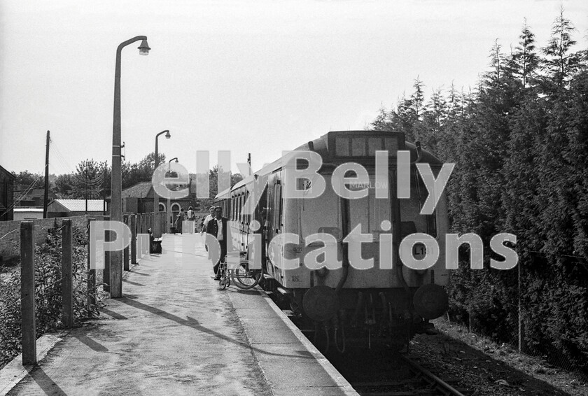 LPPC DSL BW 0890 
 Diverging from the WR main line at Maidenhead is the branch to Marlow and that terminus is shown here with another Class 121 (55031) single unit and driving trailer at the platform. Originally, the Marlow line was itself a secondary branch off a route which ran from Maidenhead to High Wycombe, but which was cut back, as part of the Beeching cuts, to Bourne End so that Marlow trains are now required to reverse there. Branches that are roots never occurred to BR accountants in post-Beeching times, as the section from Bourne End to High Wycombe, if open, would now take a lot of the heavy commuter traffic off the Marlow Bypass A404. 
 Keywords: Marlow, Class 121, Passenger, L131, 55031, BR, Western