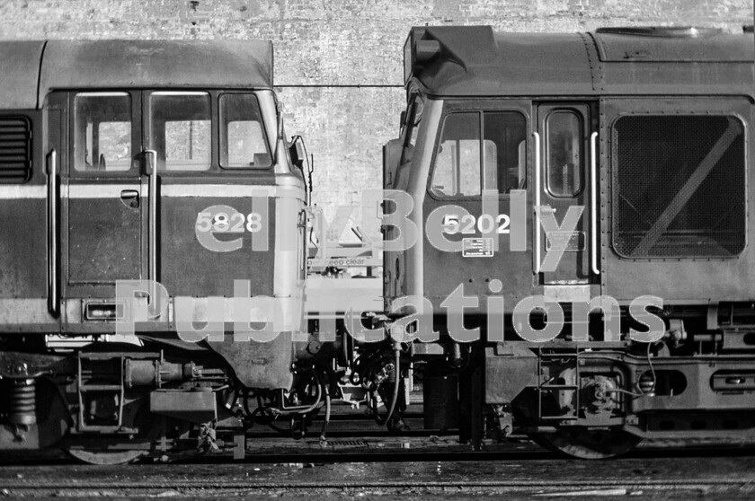 LPPC DSL CO 00970115-Edit 
 Two of the BRs Type 2 classes of diesel nestle together for company outside the original motive power depot building of Gloucester Horton Road some time in 1973. On the left is a Brush Type 2 Class 31 5828 (later 31295/31447/31547), originally intended for Eastern Region mixed traffic services. At first fitted with Mirrlees 1365hp power units they were mostly rebuilt with 1470hp English Electric units and spread their wings to venture to the Western and Midland Regions. On the right is an example of British Rails most common freight and local working Type 2 diesel, a Sulzer Type 2 Class 25 5202 (later 25052), a type that was also often seen in multiple on passenger relief services and in Scotland. In effect they were Derbys standard Type 2 diesel locomotive. 5828 would later be the first Class 31 to visit Cornwall during its time at Laira depot for Type training for rail crews. 
 Keywords: BR, Western, Gloucester, Horton Road, 85B, 1973, Class 31, Class 25, 5828, 5202, 31295, 31447, 31547, 25052, Shed, Depot