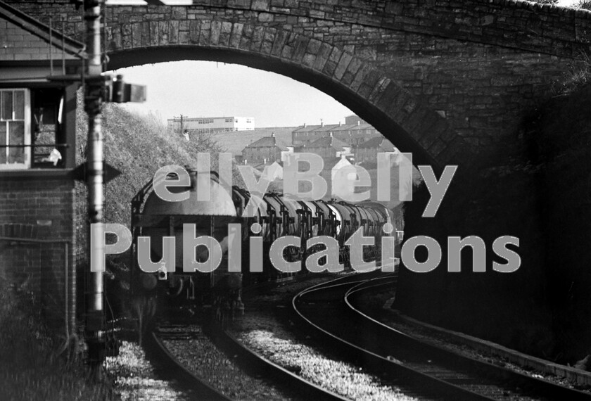 LPPC DSL BW 0401 
 Withdrawals of the Western class 52 diesel hydraulics were well under way by the time this shot was taken, as we now view the rear of the train seen in the previous photograph as it snakes out of St Budeaux Ferry Road with the Penzance to Kensington milk train. It has just passed over the Saltash Tamar bridge and will soon be clattering over the junction with the erstwhile Southern Withered Arm line that used to run to Exeter St Davids via Okehampton, but by this time had long been cut back to Bere Alston. Note the short goods line to Keyham on the right, one of many in the Plymouth area when the Royal Navy Dockyards were rail-served. 
 Keywords: BR, Class 52, Milk, Freight, Plymouth, Western