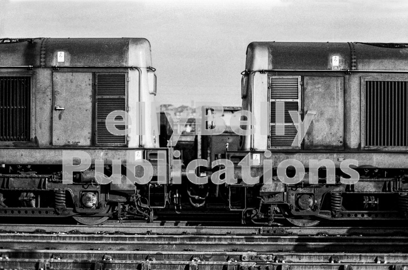 LPPC DSL BW 0821 
 A picture for the modellers. Idling away to themselves, two English Electric Type 2 Class 20s stand in Toton yard waiting time to move their trip working to whichever colliery requires it. In typically unkempt condition it is remarkable just how reliable these workhorses were and rather like some animal and bird species who mate for life it was not unknown for their multiple coupled mates to stay together as a couple permanently between works visits or necessary depot repairs. The railway as it was. Replace the diesels with a steam loco and no-one would notice the difference. 
 Keywords: Digital, Rights Managed, Stock