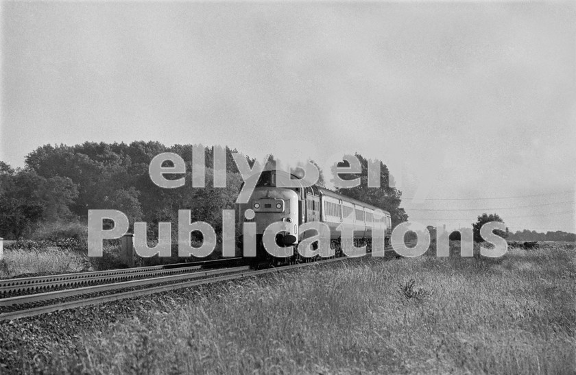 LPIS DSL BW NEGS 0044 
 EE Class 55 Deltic 55015 'Tulyar' hurries north at Henwick Hall with the 16.03 Kings Cross to York semi-fast on 7th July 1981. 
 Keywords: EE,Deltic,Class 55,D9015,9015,55015,Henwick Hall, Eastern,BR,Passenger,1981