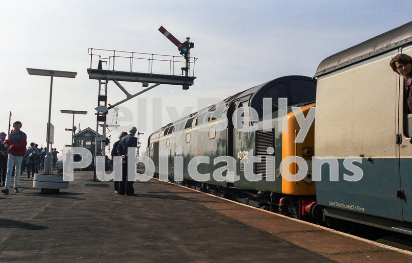 LPAP-DSL-CO-0115 
 The 'Whistler Farewell' tour of 9th March 1985, featured 40122, which ventured around East Anglia, seen here at Ely. 
 Keywords: BR, Eastern, LNER, Cambridgeshire, Ely, Diesel, BR, Passenger, Colour, Class40, 40122, D200, LO, 9A, 1984