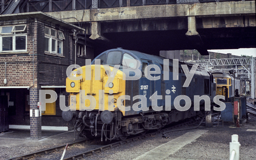 LPAP-DSL-CO-0082 
 Liverpool St stabling point see's 37057, 29th August 1984. 
 Keywords: BR, Eastern, LNER, Norfolk, Great Yarmouth, Diesel, BR, Shed, Colour, Class37, 37057, D6757, GD, 1984