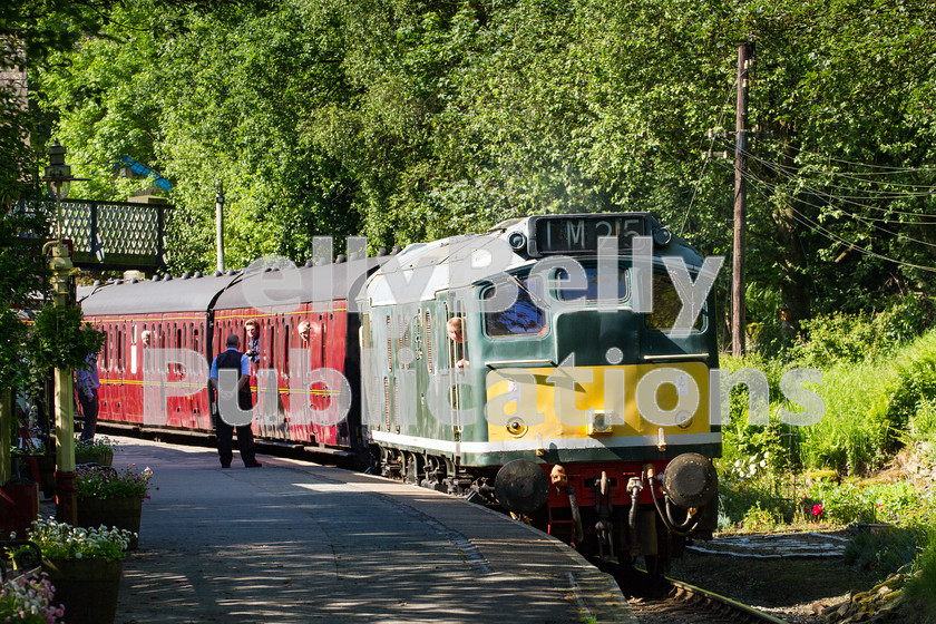 LPIS-D-DSL-CO-0024 
 On 6th June 2014, preserved Class 25, D5217, arrives at Haworth with the first train of the day from Oxenhope to Keighley during the Keighley and Worth Valley Railway's Summer Diesel Gala. It could be a scene from the 1960s... 
 Keywords: 25067, Class 25, D5217, Diesel, Digital, Gala, Haworth, Heritage, Keighley and Worth Valley Railway, LMS, Midland Region, Preserved, Rights Managed, Stock, Yorkshire