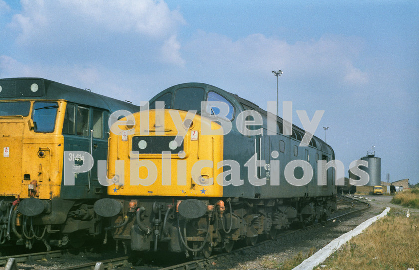 LPAP-DSL-CO-0026 
 Having a weekend rest on March depot, are 40152 and 31414, 20th August 1983. 
 Keywords: BR, Eastern, LNER, Cambridgeshire, March, Diesel, BR, Shed, Colour, Class40, 40152, D352, GD, 1983