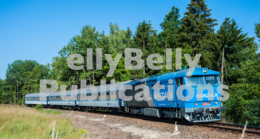 LPAP-EUR-CO-0049 
 Private freight loco, 749262 was hired for a tour, and is seen at a photo stop near Cheb, 2nd July 2014. 
 Keywords: Czech, Czechoslovakia, Passenger, Colour, 2014