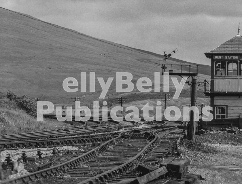 LPPC PHOT SCAN 0027 
 The majestic Settle and Carlisle line built by the Midland Railway is justifiably one of the great railways of the world, both to travel over and simply visit. Here, a journey to Dent village for refreshment necessarily preceded the long and steep climb to the station to be rewarded with the appearance across the valley of a Class 50 on a northbound freight crossing Dent Head Viaduct. Other than a curlew calling, the throb of the locos power unit was all that could be heard in the vastness of the landscape.