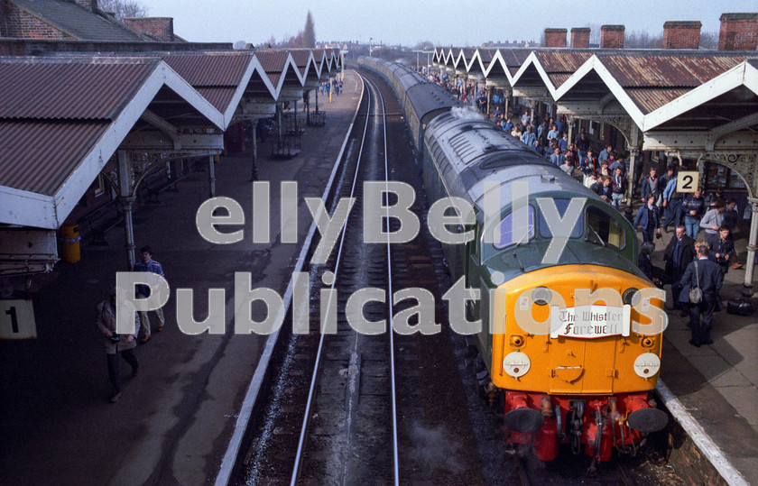 LPAP-DSL-CO-0116 
 The 'Whistler Farewell' tour of 9th March 1985, featured 40122, which ventured around East Anglia, seen here at March. 
 Keywords: BR, Eastern, LNER, Cambridgeshire, March, Diesel, BR, Passenger, Colour, Class40, 40122, D200, LO, 9A, 1984