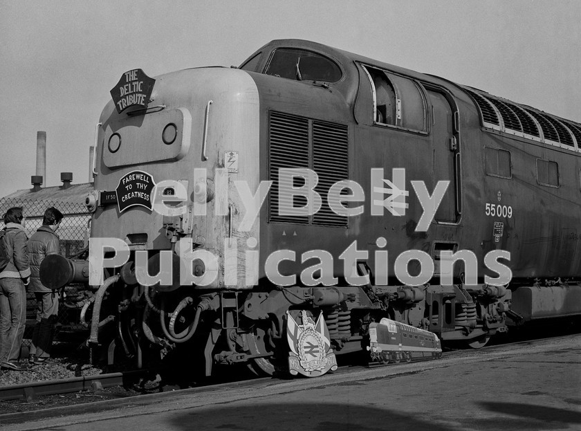 LPIS DSL BW NEGS 0158 
 EE Class 55 Deltic 55009 'Alycidon' awaits its fate at the Doncaster Works Deltic Farewell Open Day on 27th February 1982. Thankfully it was saved! 
 Keywords: 1982, 55019, 9019, BR, Black and White, D9019, Deltic, Diesel, Doncaster, EE, Eastern, Withdrawn, Works, Yorkshire