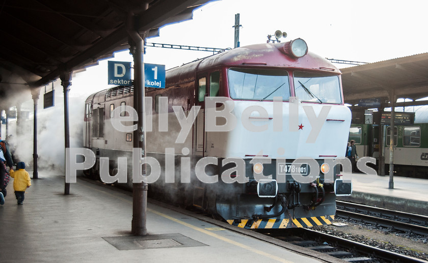 LPAP-EUR-CO-0032 
 751001 tries to hide in it's own steam vapour at Brno Hlavni Nadrazi, 13th October 2012. 
 Keywords: Czech, Czechoslovakia, Passenger, Colour, 2012