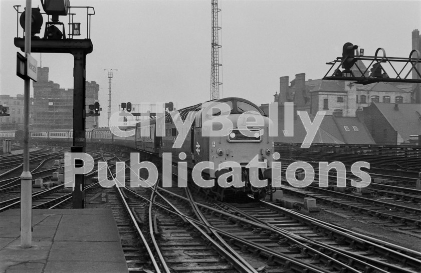 LPIS DSL BW NEGS 0033 
 EE Class 55 Deltic 55017 'The Durham Light Infantry' arrives at Newcastle Central station with the 11.30 Edinburgh to King's Cross serbice on 11th December 1975. 
 Keywords: EE,Deltic,Class 55,D9017,9017,55017,Newcastle,BR,Eastern,Passenger,B&W