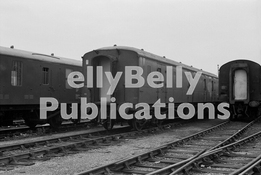 LPPC DSL BW 0987 
 Alongside a recently out-shopped BR CCT (Covered Carriage Truck) at OOC is a stalwart of the (G)WR. This is a Hawksworth BG displaying its A end. These vehicles were a GWR design, but were still being constructed into early BR days. 
 Keywords: Coaching Stock, BR, Western, Hawksworth, Old Oak Common, Coach, Parcels