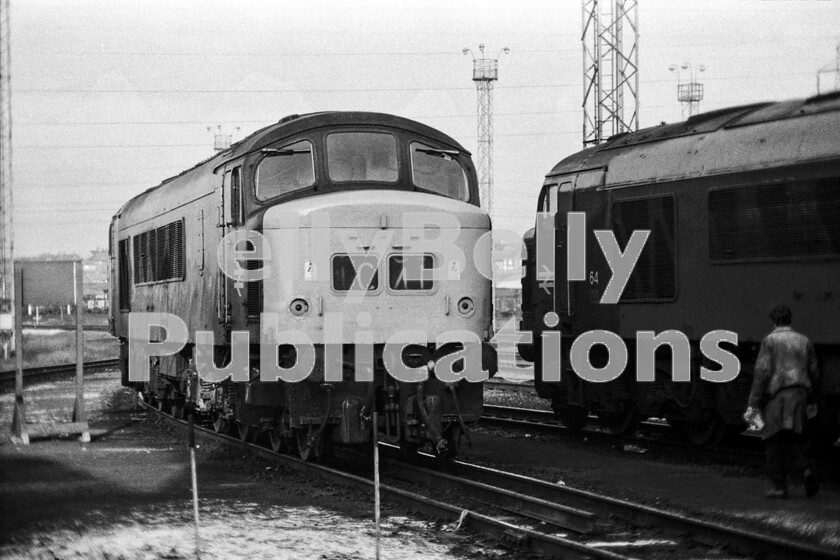 LPPC DSL BW 0829 
 Bored of the Yuletide festivities, it was decided to make a visit to Nottingham and Toton in December 1971. For Peak class locos, Toton was an enthusiasts delight. It was intensely cold the day of our visit and the frost on the ground never melted. Here, according to its headcode, is Class 45 44 (later 45035), the upcoming motive power for the 1C41 10.50 Nottingham to St Pancras that day, about to go off shed. Alongside is sibling number 64 Coldstream Guardsman. The shed fitter/pilotman with well-used overalls is heading purposefully towards the cab steps of 64 with cleaning rags in hand. 
 Keywords: Digital, Rights Managed, Stock