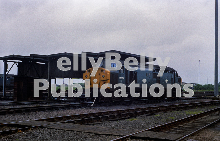 LPAP-DSL-CO-0018 
 Getting some diesel on March depot's fuelling point is 37063, 16th July 1983. 
 Keywords: BR, Eastern, LNER, Cambridgeshire, March, Diesel, BR, Shed, Colour, Class37, 37063, D6763, GD, 1983