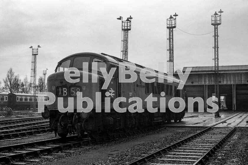 LPPC DSL BW 0395 
 Sitting outside Laira Motive Power Depots maintenance shed on March 24th 1973 is Peak Class 45 number 137 named The Cheshire Regiment. When the digital age caught up with it, it was renumbered 45014 under TOPS. For many years these locos were dependable and successful motive power for the majority of West and North passenger workings, but sadly long life was not to be for 137 as it was involved in a fatal collision with Class 31 31436 at Chinley on 9th March 1986 and scrapped forthwith. 45014 had been taking 47334 to Buxton MPD to work stone traffic the following day, when a complete power failure caused signal failures in the Chinley area. When emergency power was restored some track circuits failed to operate correctly and 31436 hauling 1M42 from Sheffield to Manchester Piccadilly was routed wrong line at Chinley East Junction and hit the stationary 45 and 47 at 30mph. Both 45014 and 31436 were scrapped and tragically the Class 31 driver was killed. 
 Keywords: BR, Western, Laira, Plymouth, Shed, Depot, Class 45, 137, 45014,'The Chesire Regiment', Peak