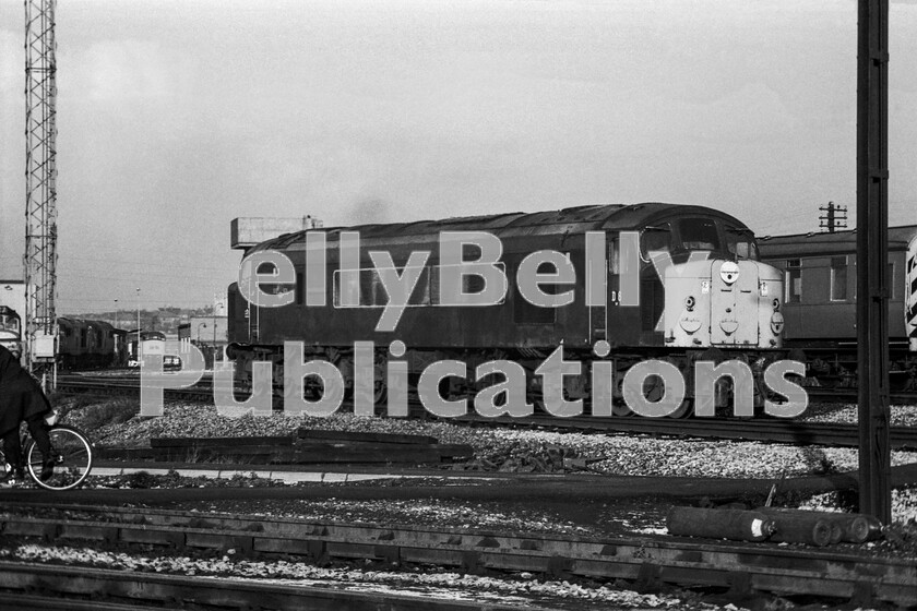 LPPC DSL BW 0830 
 A last-minute decision to visit, in one day, the vast Traction Maintenance Depot and freight site at Toton between Christmas and New Year in 1971 was taken with no knowledge of how it would work other than a train from St Pancras to Nottingham and dmu trip to Long Eaton as recommended in the old British Locomotive Shed Directory. With limited time available due to short daylight hours, we arrived and happily walked everywhere we could with no-one demurring in any way. Our first sight was of this Sulzer Type 4 Peak Class 44 D6 Whernside, the tallest peak in Yorkshire. These first ten locos, after which the class as a whole took its name, were only of 2,300hp and ended their days on coal-hauls from the Midlands collieries to Whitemoor yard. This engine was unique at the time, in still being in its original lined Brunswick green but with full yellow ends and retaining the D number prefix. A Toton livery speciality. 
 Keywords: Digital, Rights Managed, Stock