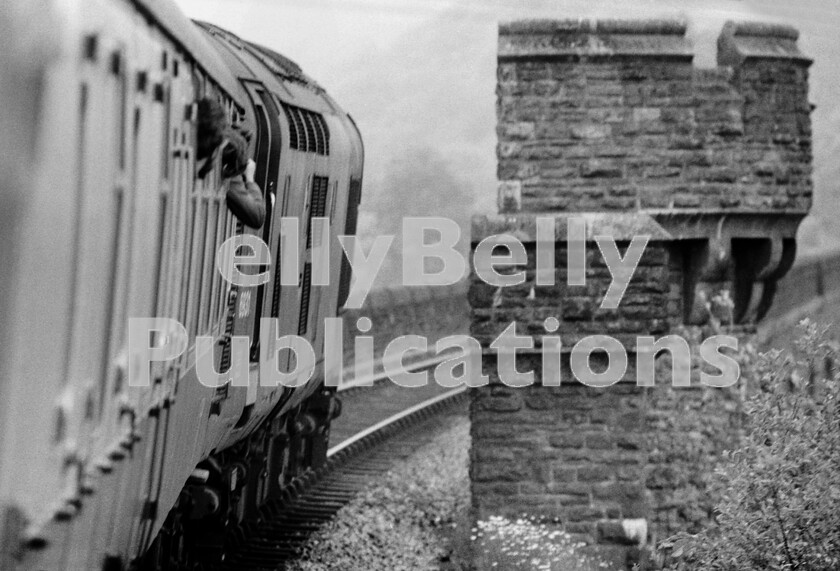 LPPC DSL BW 0274 
 Leaning to the curve, English Electric Type 3 Class 37 number 6931 (37231, 37896) runs cautiously onto Knucklas Viaduct, over the Teme valley with the railtour from London, on the way to Llanelli and Barry Island. Once onto the viaduct full power needed to be applied to haul the train up from Knucklas station and on to Llangunllo. A photographic stop was laid on, further down the line, at Llandrindod Wells. The RCTS railtour (The Heart of Wales Rail Tour) ran on 5th June 1971 from Kensington Olympia, returning to London Paddington. 
 Keywords: BR, Western, Wales, Railtour, RCTS, 'The Heart of Wales Rail Tour', 6931, 37231, 37896, Class 37, Knucklas Viaduct, Passenger