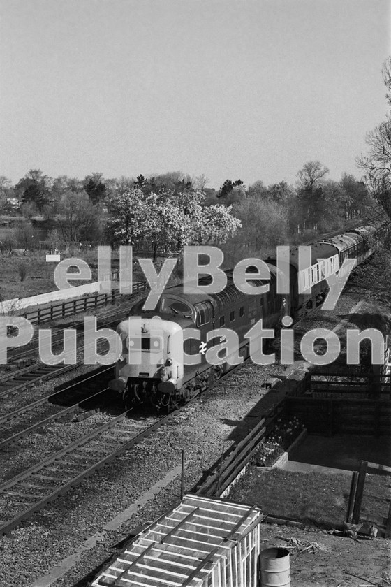 LPIS DSL BW NEGS 0029 
 EE Class 55 Deltic 55007 'Pinza' takes the ECML at Chaloners Winn Junction with the 08.00 Newcastle to King's Cross, the Up Tyne-Tees Pullmann, on 20th April 1976. 
 Keywords: EE,Deltic,Class 55,D9007,9007,55007,Chaloners Whin,York,BR, Eastern B&W