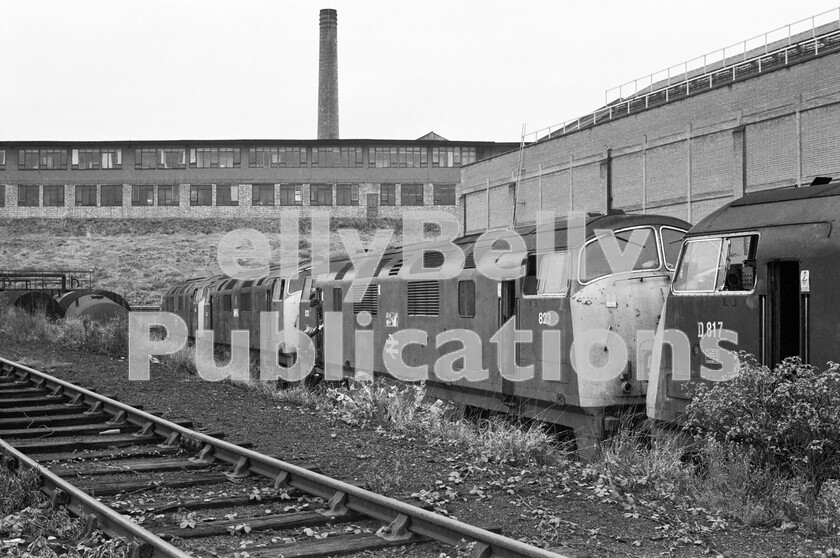 LPPC DSL BW 0988 
 Its 1971 and the end of the line for the Warships. Whilst many were dumped at Swindon Works, this was Old Oak Commons contribution. Class 42 D817 Foxhound is in intermediate maroon livery with original size numbering, whilst 823 Hermes behind is in full rail-blue livery. Whilst I have never forgiven BR for eliminating steam so wastefully and unnecessarily quickly, it was sad to see these fine but idiosyncratic locos consigned so soon after being built, to the same ignominious end. Next in the scrap line is D809 Champion, also in maroon livery and finally the line is completed by Class 43 842 Royal Oak in full rail-blue livery. 
 Keywords: BR, Western, Warship, Old Oak Common, Scrap, Withdrawn, Depot, Shed, 1971, D817, 'Foxhound', 823, 'Hermes', D809, 'Champion', 842, 'Royal Oak', Class 42, Class 43