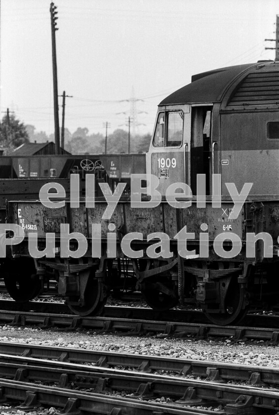 LPPC DSL BW 05270540 
 A slightly down-at-heel and careworn Class 47 Brush Type 4 number 1909 (later 47232) is stabled in Didcot sidings one 1970s Sunday amongst a number of period-style engineers wagons. Still in its two-tone green but bearing the larger style numbers applied to diesels post-steam, this was a long-term Western Region engine spending much of its early life allocated to Bristol Bath Road. A possession was ensuring that the Swindon to Didcot section of the GW main line was blocked to normal traffic and 1909 is dozing away the Sunday waiting to be activated to return to site to help clear up wagons and workers, ready for a resumption of normal train working on the Monday morning.

The locomotive is still with us today, awaiting restoration on the Wensleydale Railway in North Yorkshire, and is believed to be still in its final English, Welsh & Scottish Railway (EWS) livery. It carried 5 numbers, D1909, 47232, 47665, 47820 and finally 47785. On 11th June 1997 it became the first EWS Class 47 to be named. It was named Fiona Castle by the widow of entertainer Roy Castle, to mark the running of the British leg of the final, 1997 Tour of Hope fundraising train for the Liverpool Lung Cancer Hospital.

The train ran from London Waterloo to Liverpool Lime Street station to coincide with the opening of the Lung Cancer Research facility that had been the focus of the original Tour of Hope train that toured Britain in July 1994, raising 1m in three days.

All of this was some 25 years after this photograph was taken. 
 Keywords: BR, D1909, 1909, 47232, 47665, 47820, 47785, 'Fiona Castle', Didcot, Light Engine, Class 47, Western