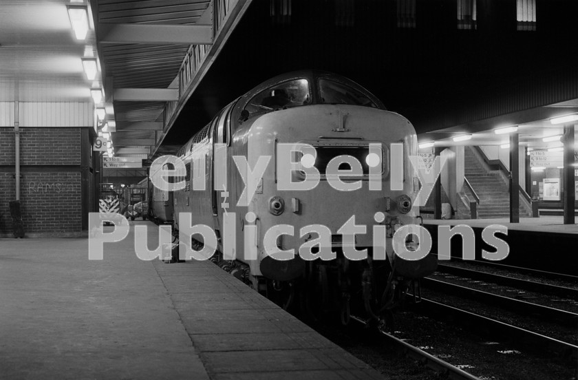 LPIS DSL BW NEGS 0049 
 EE Class 55 Deltic 55007 'Pinza' stands at Leeds station having worked the 14.10 service from London King's Cross on 1st November 1976. 
 Keywords: EE,Class 55,Deltic,Leeds,BR,Eastern,Passenger,B&W,D9007,9007,55007