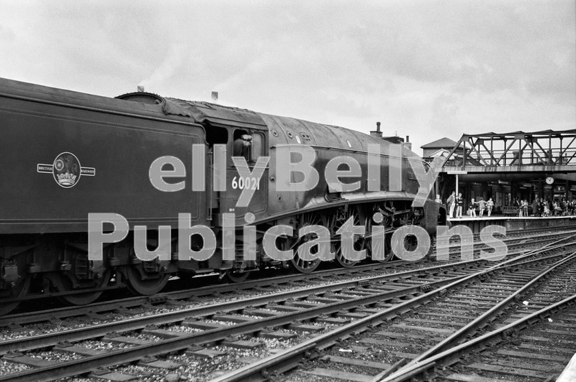 LPIS STM BW NEGS 0135 
 Gresley A4 60021 'Wild Swan' heads north through Doncaster with the 1A08 Down Anglo-Scottish Car Carrier service on 8th September 1962. 
 Keywords: 'Wild Swan', 1962, 21, 34A, 4467, 60021, A4, BR, Black and White, Doncaster, Eastern, Gresley, King's Cross, LNER, Passenger, Steam, Yorkshire