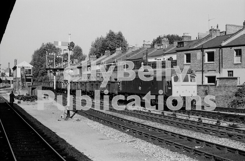 LPPC DSL BW 0259 
 Another late-model Sulzer Type 2 Class 25 of the type built without corridor-connections, number 7666 (later 25316/25911) rumbles through Kensington with 9T37, loose-coupled inter-regional southbound coal, probably from the Midlands Brent Yard in North London. Brave new world, but even that headcode box would prove to be transitory. It was astonishing how busy the line was with freights following each other in both directions. Now its almost entirely Class 378 Overground trains which run every 20 minutes in both directions between Clapham Junction, Willesden Junction and beyond. The locomotive was one of twelve low-hours (since overhaul) of the remaining Class 25/3 locomotives that were subsequently designated as Class 25/9 in March 1985. Intended to operate traffic expected to be won for the Industrial Minerals Division of Railfreight, it was withdrawn soon after when Railfreight failed to win the contract. 
 Keywords: BR, Coal, 7666, Class 25, 25316, 25911, Western, Kensington Olympia, Freight