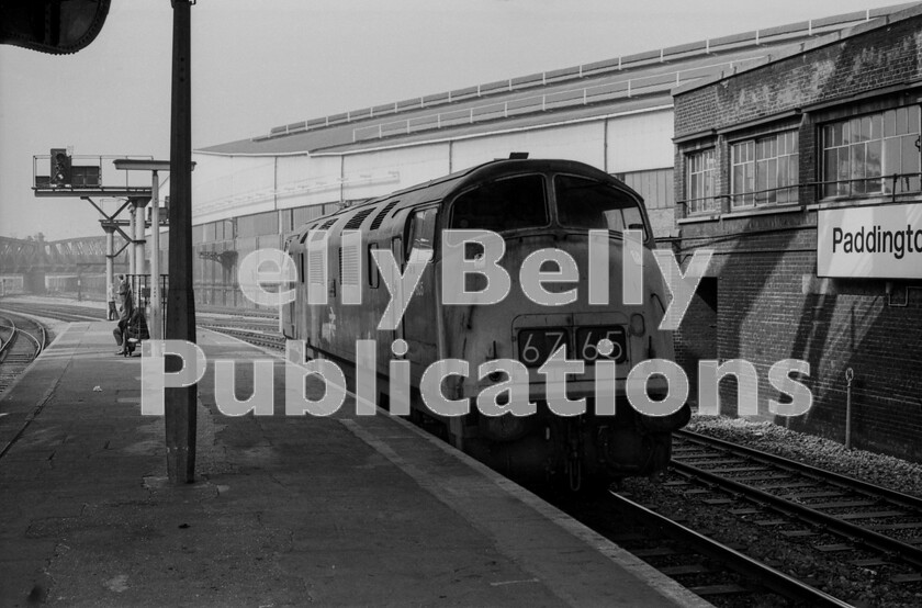 LPPC DSL BW 0245 
 Warship class 42 number 805 Benbow backs down from Old Oak Common or Westbourne Park onto the late morning Hereford express one spring day in 1970 at Paddington station. This route is now called the Cotswold Line as a marketing tag and run today by Great Western, which is probably the greatest misnomer of all time. They were the last Class 1 trains to be steam-hauled from the terminus and later the final top-link trains to be hauled by Hymeks. Subsequently, the Warships eked out their last days on the services and, as can be seen from the condition of the locomotive, little care was being expended on them by this stage. However, the crews still maximised their performance and I enjoyed a run behind 842 Royal Oak at this time, when it deputised for a failed Brush Type 4 on an up Hereford train and it cruised happily at over 90mph between Oxford and London. 805 still carries a headcode that suggests earlier use on a special Penzance to Kensington milk service. 
 Keywords: BR, Western, Warship, 805, 'Benbow', 1970, Paddington, Light Engine