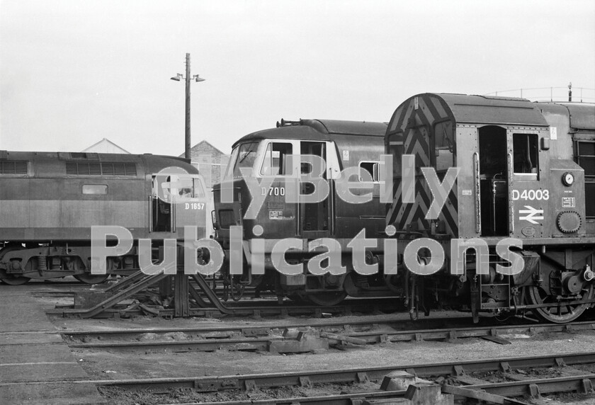 LPPC DSL BW 0998 
 Original green and very early rail-blue liveries feature in this shot of locomotives at rest outside Old Oak Common Factory. The Brush Type 4 Class 47 number D1657 (later 47073/47537 and now still operational with West Coast Railways as 47772) is either waiting to go in for repair or has just received an exam and is awaiting return to service. It is in its original livery as applied at Crewe. Stored Hymek Class 35 D7006, one of the first two locomotives of the class withdrawn in September 1971, is very much in early condition with green superstructure and lime-green lower band, with only a small yellow warning panel on the cab front, the windows of which have the original grey painted surround. Left in the open outside on a dead-end siding It would seem that it does not have much more life stretching ahead of it. In contrast, shed pilot 350bhp diesel shunter Class 08 number D4003 (later 08835, then 09015)is in early rail blue with British Rail logo on the cab-side. 
 Keywords: 1970, BR, Black and White, D1657, D4003, D7006, Factory, GWR, London, Old Oak Common, Shed