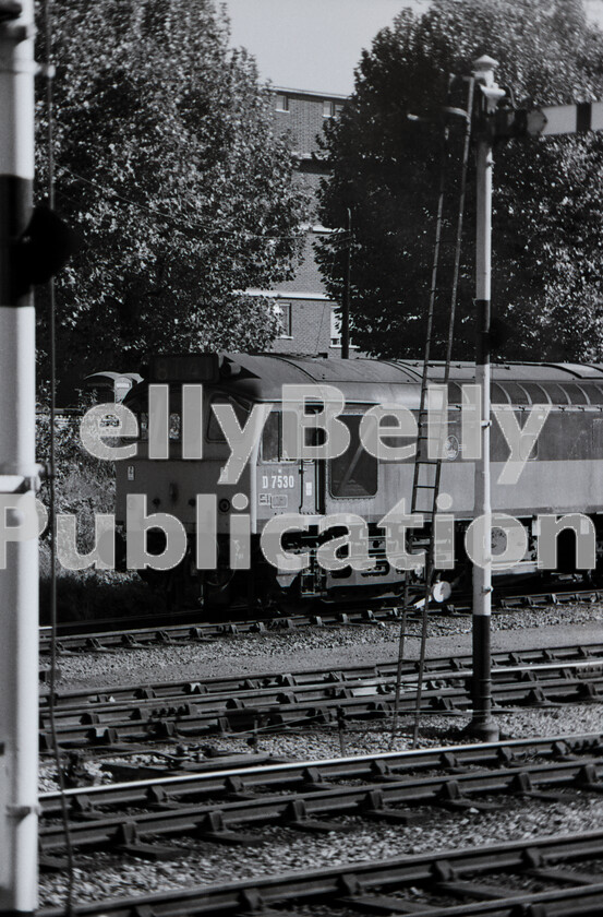 LPPC DSL BW 0316 
 Still carrying its duo-green livery and ticking over in the languid way that typified the type, Class 25 Sulzer Type 2 number D7530 (later 25180), one of the late-built batch, sits in the warm sunshine in 1971 in the Milk Sidings at Londons Kensington Olympia station, surrounded by an array of LMS style upper quadrant semaphore signals.

The station was originally named Addison Road after the street in the background but was changed when the Olympia exhibition halls were built alongside.

Eventually the route was electrified on the DC third-rail system which led to the development of Londons Overground suburban lines, but also allowed Eurostar trains to travel from their Old Oak Common depot to and from Waterloo International until that service was found a permanent UK home at St Pancras, with maintenance at Temple Mills. 
 Keywords: BR, Western, Class 25, D7530, 25180, Kensington Olympia, Sulzer, Freight, Milk