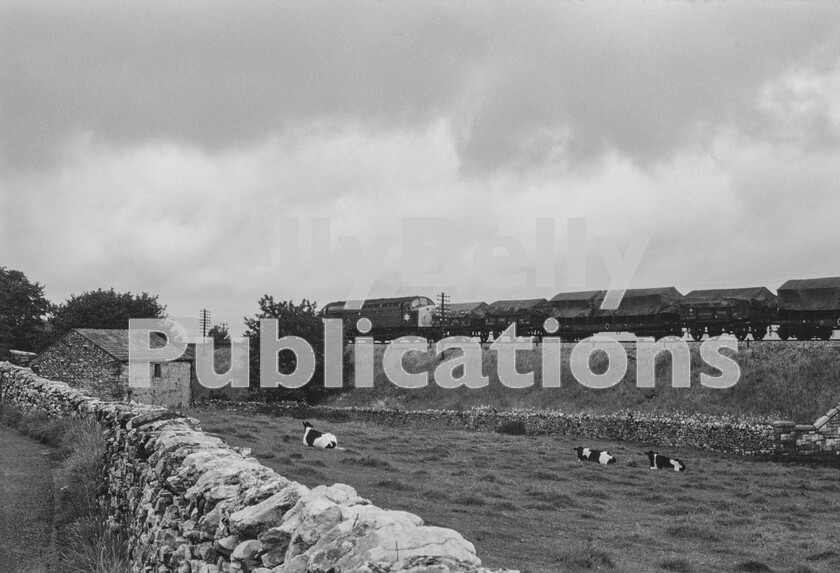 LPPC DSL CO 00010018-Edit 
 Still in use and receiving and dispatching traffic by rail is the Arny base at Warcop close to Appleby and accessed via a short remaining stub of the Stainmore line. Here is an English Electric Type 4 Class 40 working hard uphill northbound towards Ribblehead and Ais Gill at Horton-in-Ribblesdale with a train for the Depot near Appleby watched by only three disinterested cows. Freightliner containers and vehicles are used for this class of traffic nowadays. 
 Keywords: Digital, Rights Managed, Stock