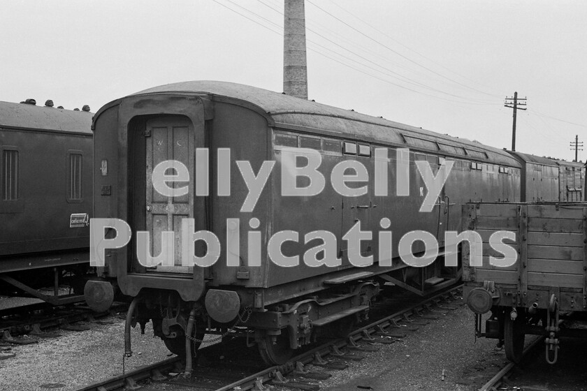 LPPC DSL BW 0980 
 Old Oak also consisted of extensive rolling-stock stabling sidings and here, amongst the non-passenger stock on display, is a vehicle from the LNER. It is a Gresley BG. Note the porcelain door-handle on the corridor-connection white door and the, by this time rarely seen or used, horse-box at the end of the consist. On the left is a Collett BG used for newspaper traffic, in this case,The Observer. 
 Keywords: Coaching Stock, BR, Western, Collett, Coach, Parcels, Old Oak Common