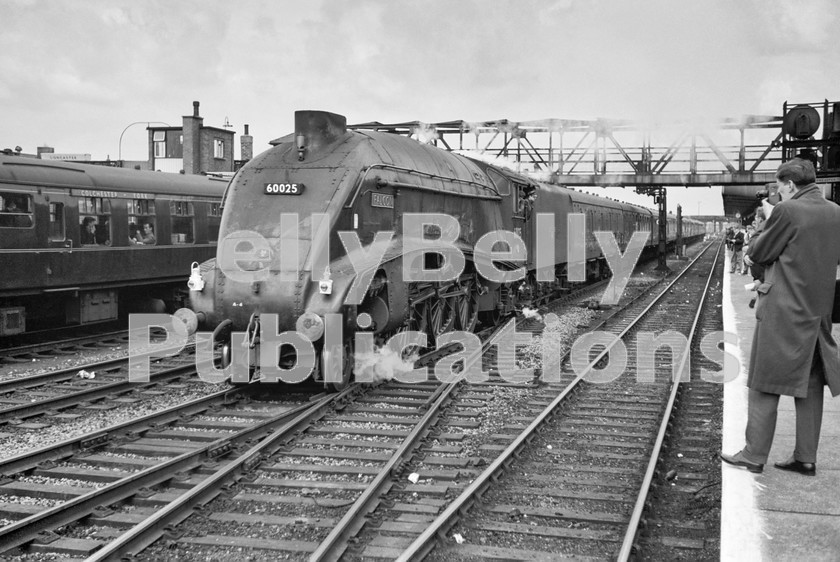 LPIS STM BW NEGS 0133 
 Streak! Gresley A4 60025 'Falcon' passes through Doncaster station with the 1A27 10:35 Newcastle to King's Cross service on 8th September 1962. The train was diverted at Peterborough to run to London via Cambridge due to a derailment at Offord of A1 60123 'H. A. Ivatt'.

The locomotive remained at King's Cross Shed until 16th June 1963 when it was relocated to New England shed until withdrawn on 20th October 1963. It was broken up on 4th January 1964.

The train standing at the Down platform is the 1N48 07:15 Colchester to Newcastle service. This train ran on the old joint line from March through to Doncaster, so was probably unaffected by the diversions around Offord. The Buffet car seen in the photograph was the last coach in the train formation and was removed at York; the rest of the train continuing to Newcastle. The coach was then re-attached on the overnight return working. 
 Keywords: 'Falcon', 25, 34A, 4484, 586, 60025, A4, BR, Black and White, Doncaster, Eastern, Gresley, King's Cross, LNER, Passenger, Steam, Yorkshire